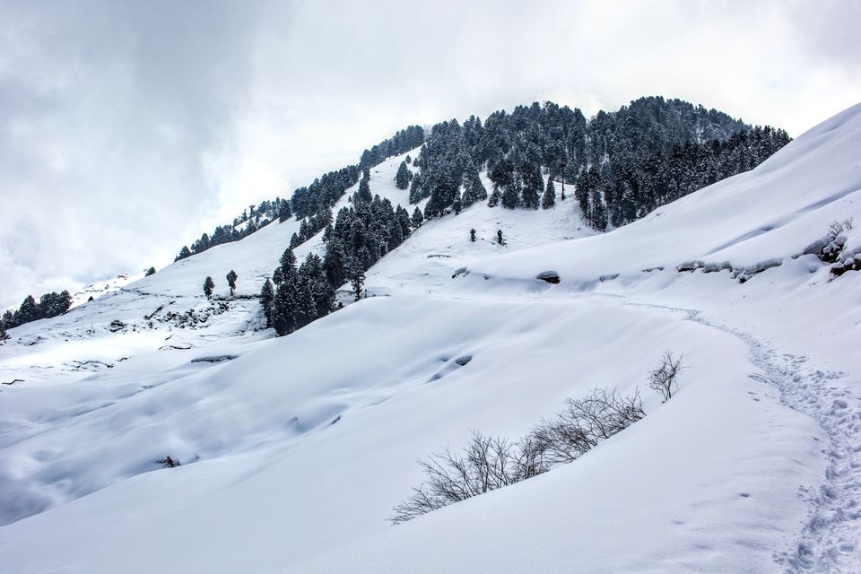 Photo of Prashar Lake: A trek to remember by Mudit Bhatnagar