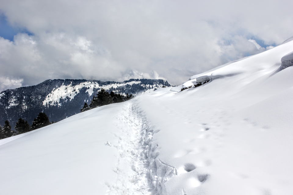 Photo of I now know why they say every trekking enthusiast must hike to Prashar Lake once! by Mudit Bhatnagar