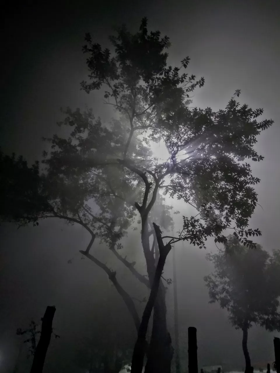 Photo of Kishanganj, Bihar, India by Mobarak Hossain