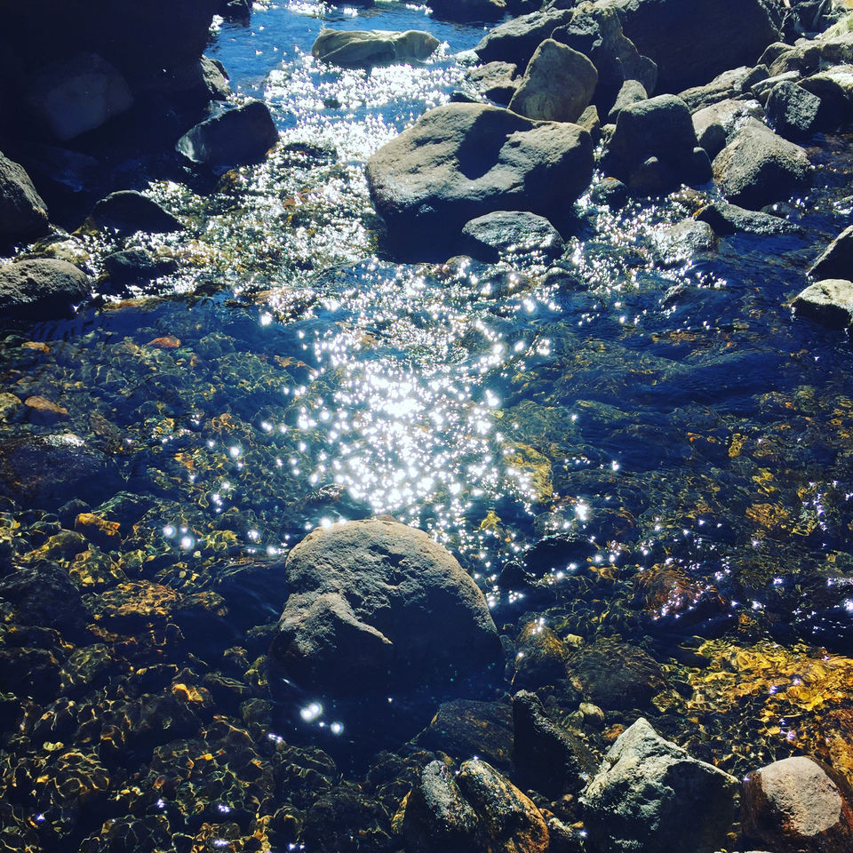 Photo of Sojourn In Sikkim by Manuj Mishra