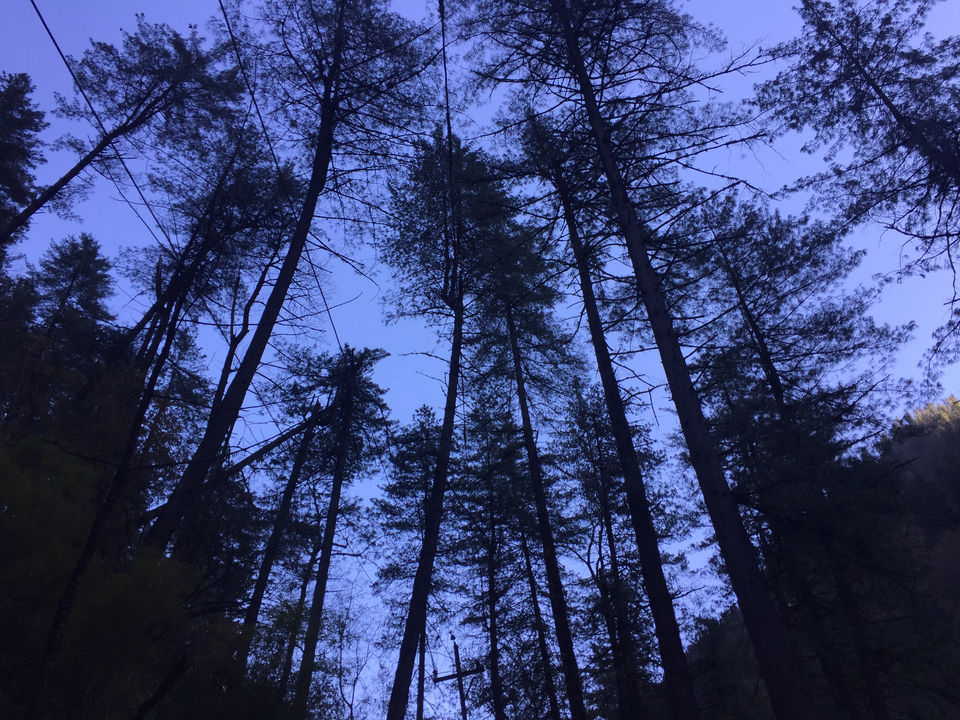 Photo of Manikaran, Himachal Pradesh, India by MANUJ