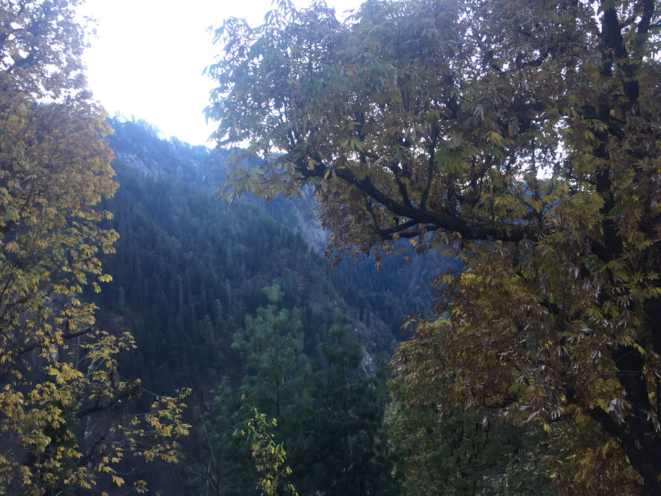 Photo of Grahan, Himachal Pradesh, Kullu, Himachal Pradesh, India by MANUJ
