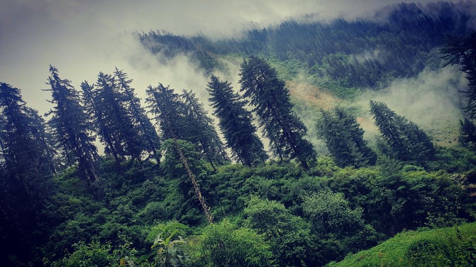 Photo of कुटला: कल्पनाओं से परे by the talking shoes (MANUJ)
