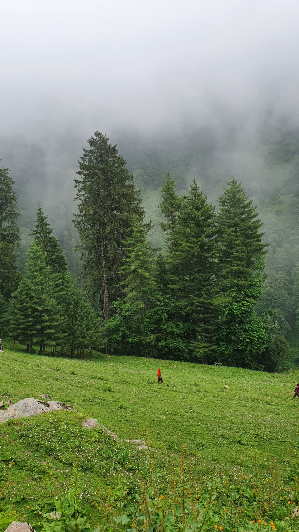 Photo of कुटला: कल्पनाओं से परे by the talking shoes (MANUJ)