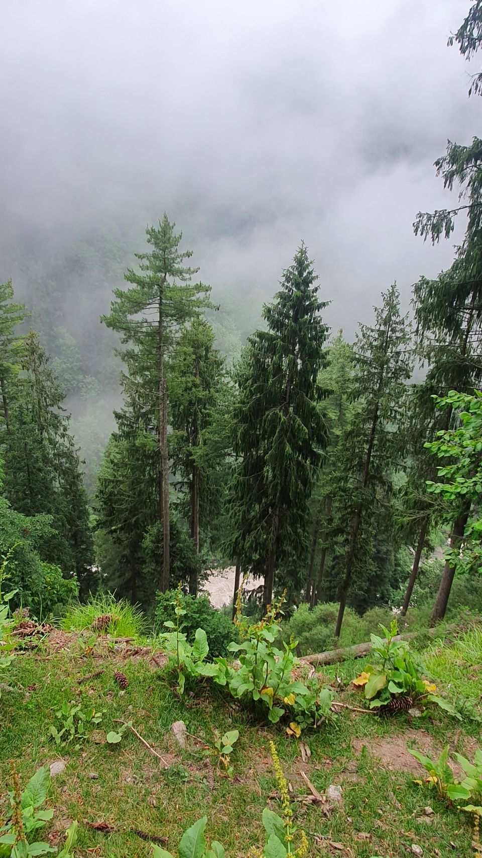 Photo of कुटला: कल्पनाओं से परे by the talking shoes (MANUJ)