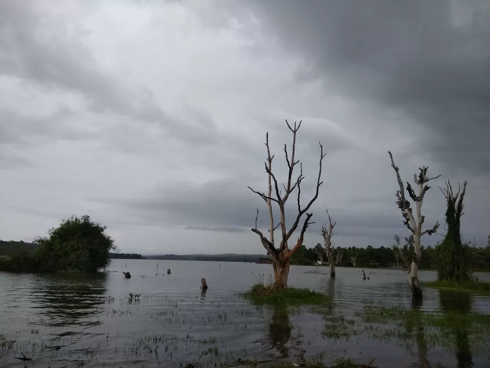 Photo of Sakrebyle Elephant Camp, Sakrebyle, Karnataka, India by Giridhari Khandelwal