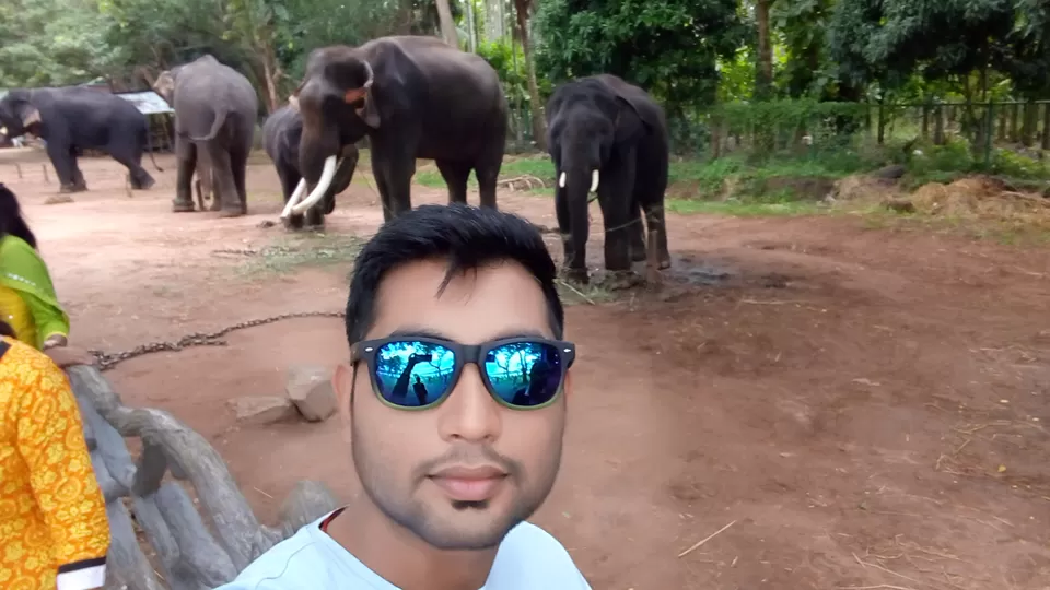 Photo of Sakrebyle Elephant Camp, Sakrebyle, Karnataka, India by Giridhari Khandelwal