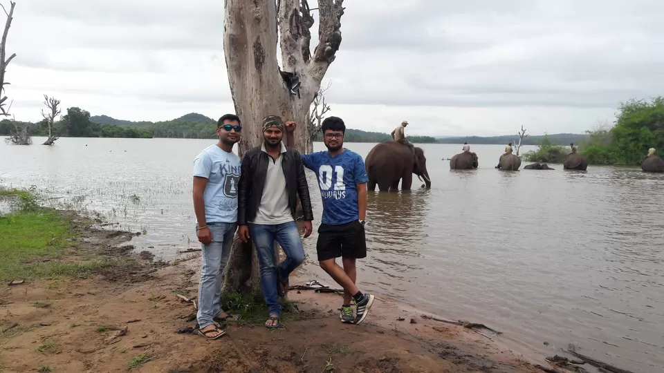 Photo of Sakrebyle Elephant Camp, Sakrebyle, Karnataka, India by Giridhari Khandelwal