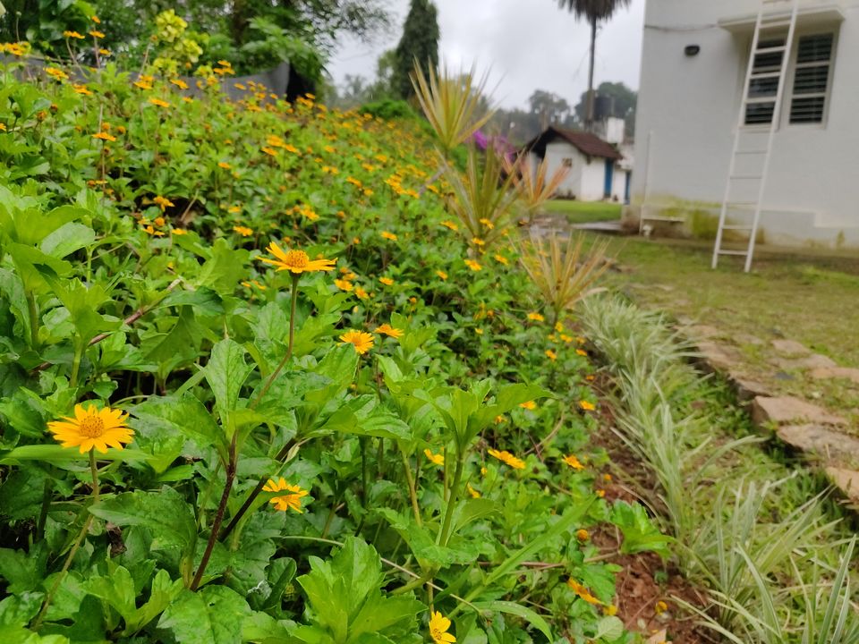 Photo of It's all about a Trip to Sakhleshpur, Mudigere (Part - 1) 7/11 by Giridhari Khandelwal