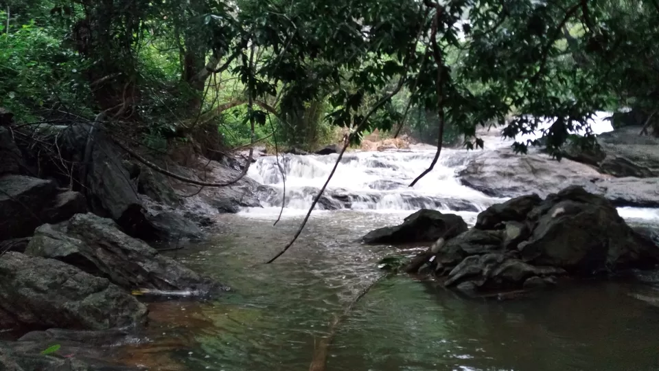 Photo of Abbe Gundi Falls, Devaladakere, Karnataka, India by Giridhari Khandelwal