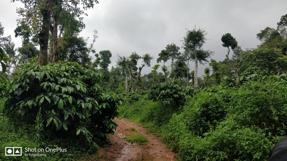 Photo of It's all about a Trip to Sakhleshpur, Mudigere (Part - 2) by Giridhari Khandelwal