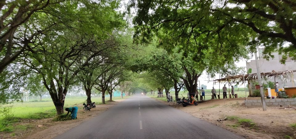 Photo of An Impromptu Road Trip to Yercaud Hill Station, Tamil Nadu #notinnorth by Giridhari Khandelwal