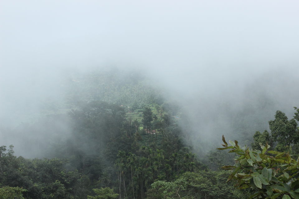 Photo of Chikmangalur, A perfect team outing in nature's lap by Nidhi Jain