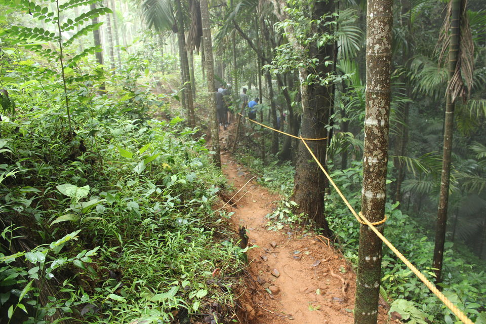 Photo of Chikmangalur, A perfect team outing in nature's lap by Nidhi Jain
