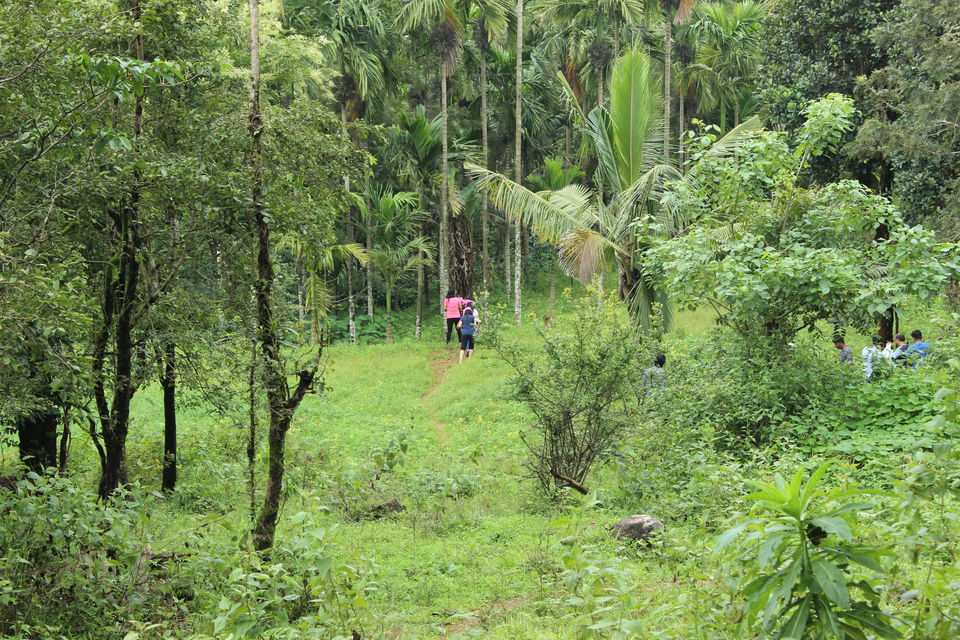 Photo of Chikmangalur, A perfect team outing in nature's lap by Nidhi Jain
