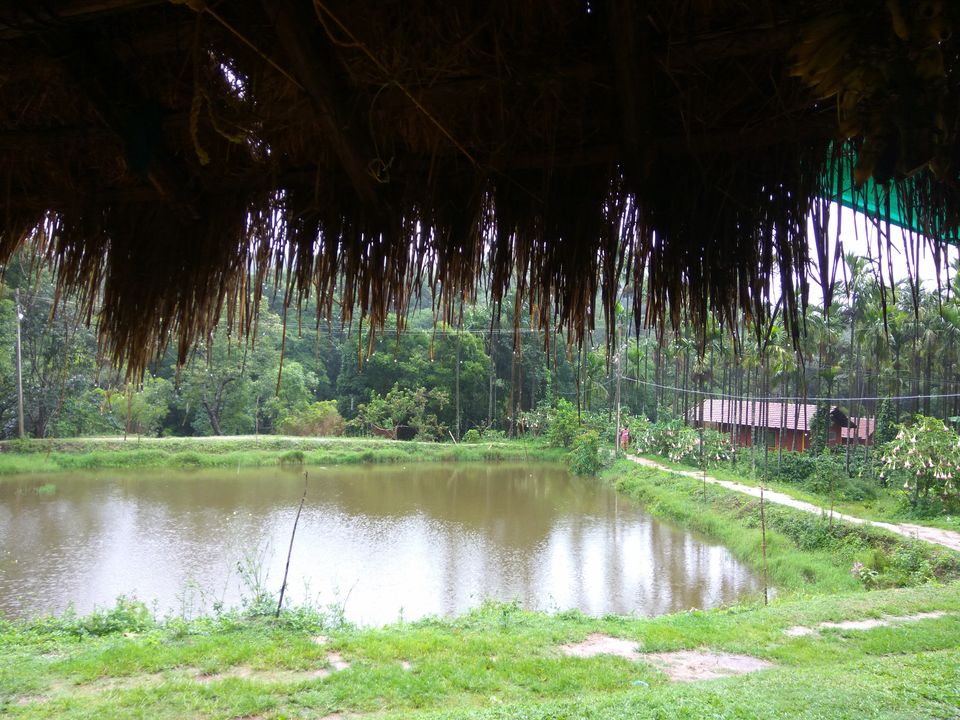 Photo of Text me Later, I am in Sakleshpur by Nidhi Jain