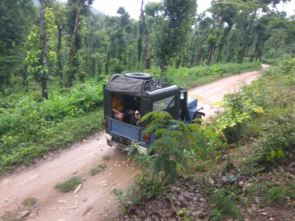 Photo of Mystique Falls Homestay, J.P Nagar, Ballupet, Sakleshpur, Karnataka, India by Nidhi Jain