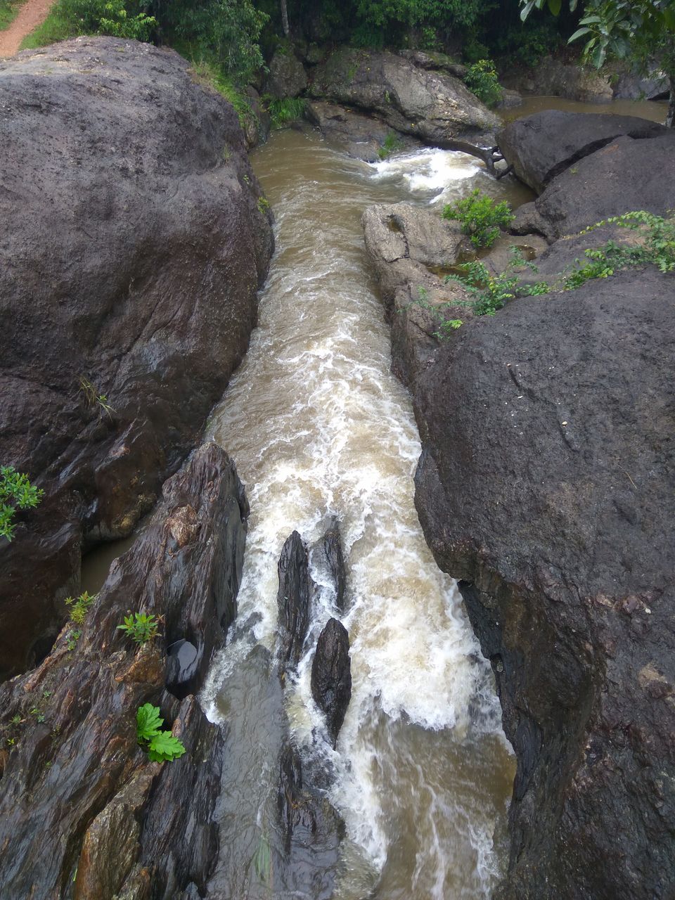 Photo of Text me Later, I am in Sakleshpur by Nidhi Jain