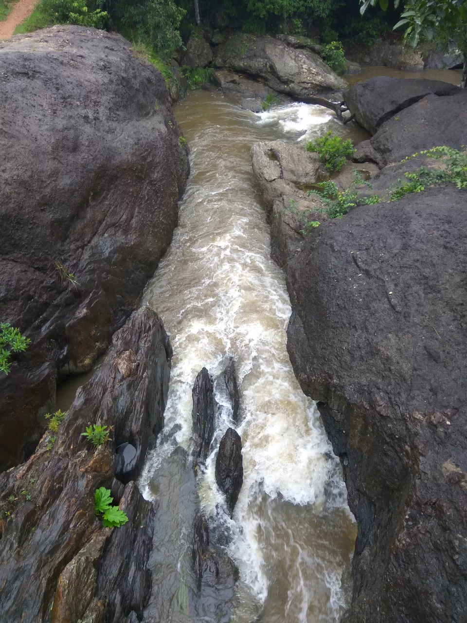 Photo of Text me Later, I am in Sakleshpur by Nidhi Jain
