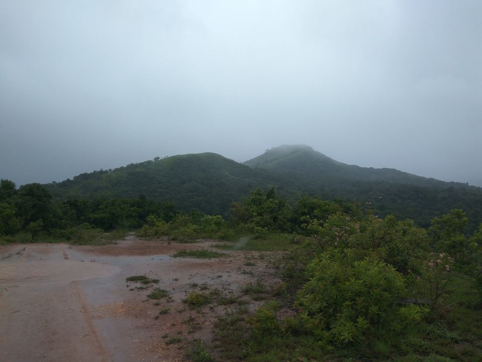 Photo of Text me Later, I am in Sakleshpur by Nidhi Jain