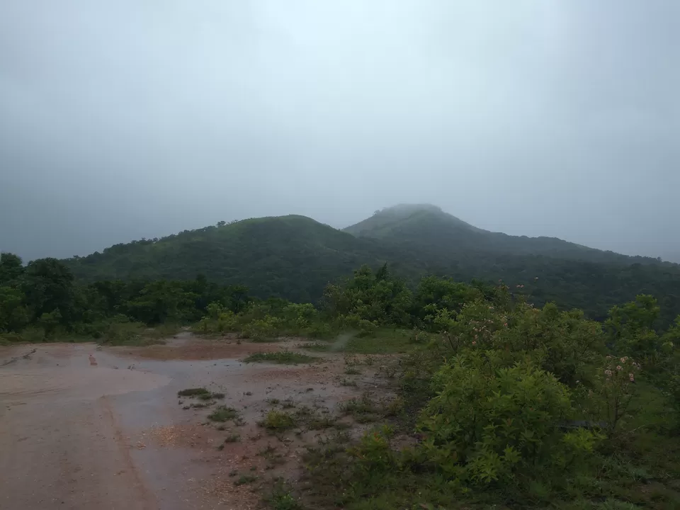Photo of Text me Later, I am in Sakleshpur by Nidhi Jain