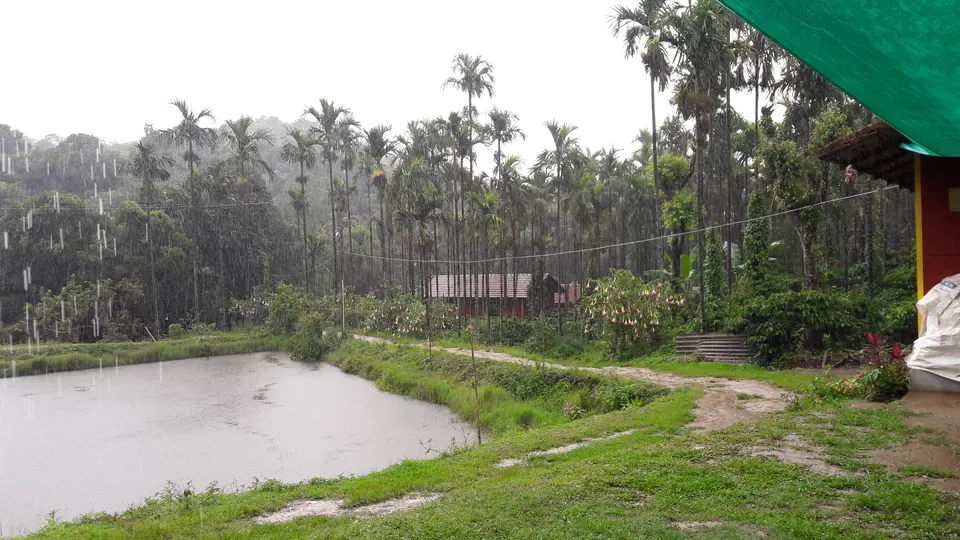 Photo of Mystique Falls Homestay, J.P Nagar, Ballupet, Sakleshpur, Karnataka, India by Nidhi Jain
