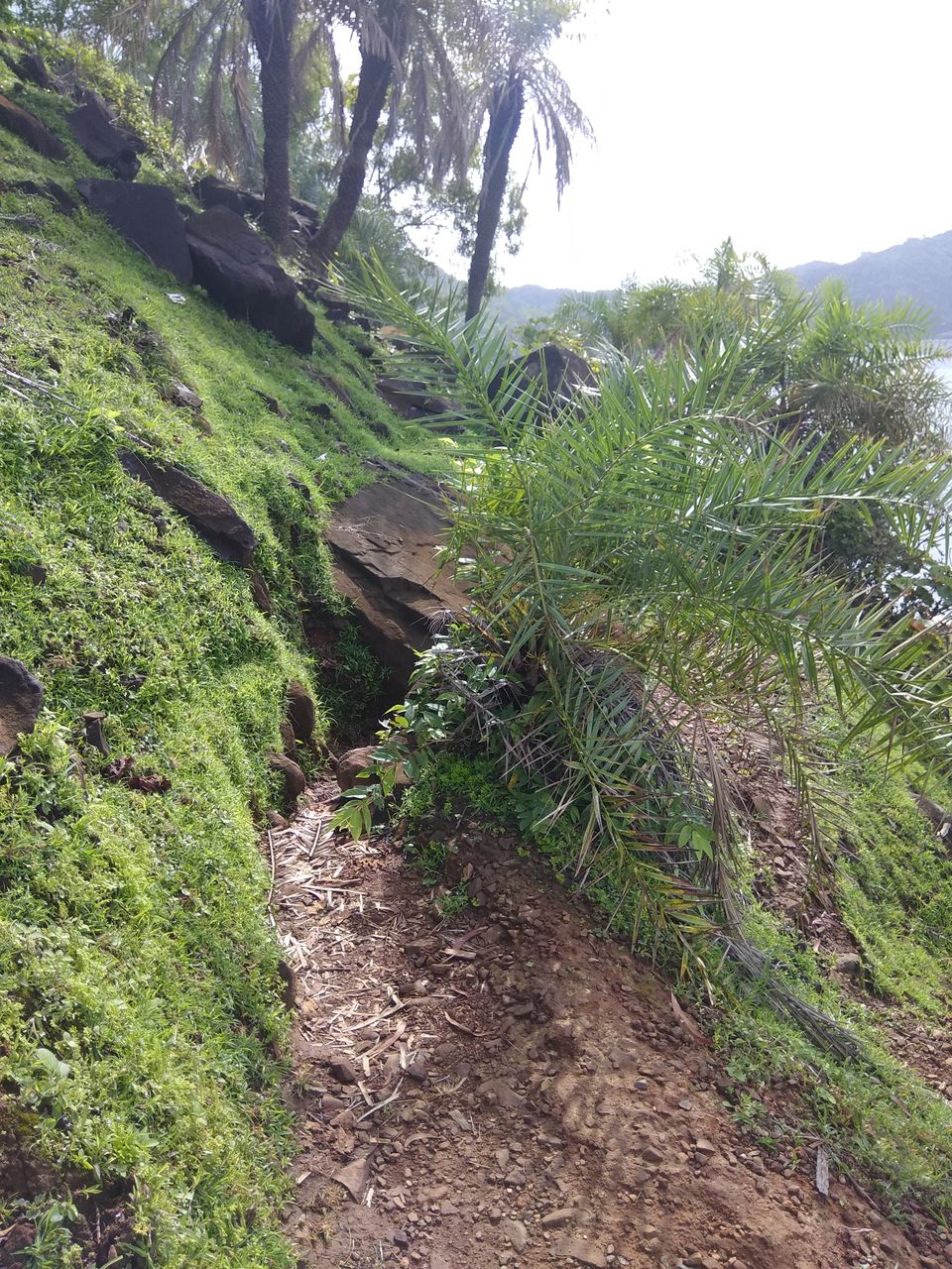 Photo of Gokarna in Monsoon... a Beachy Affair by Nidhi Jain