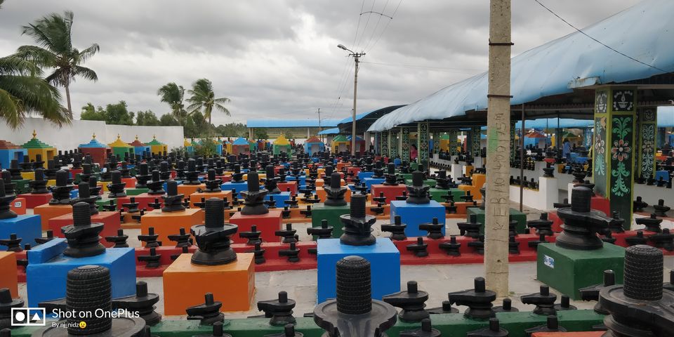 Photo of Blissful morning ride to Kotilingeshwara, Kolar by Nidhi Jain