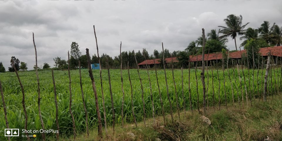 Photo of Kolar, Karnataka, India by Nidhi Jain