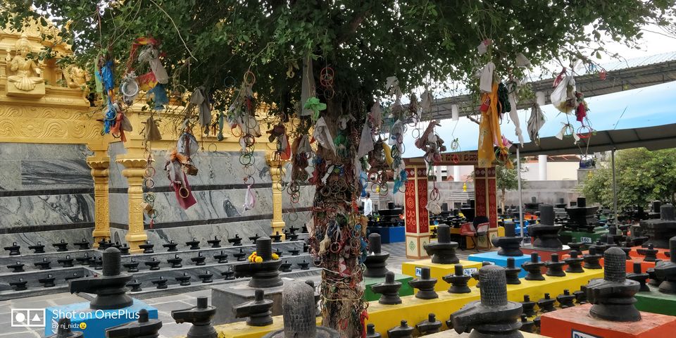 Photo of Blissful morning ride to Kotilingeshwara, Kolar by Nidhi Jain