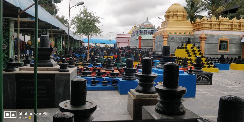 Photo of Blissful morning ride to Kotilingeshwara, Kolar by Nidhi Jain