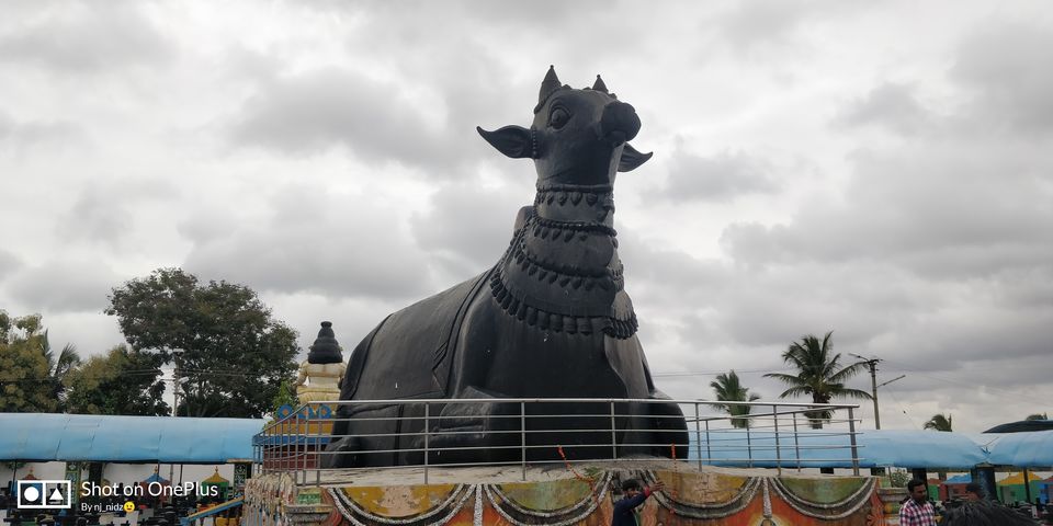 Photo of Blissful morning ride to Kotilingeshwara, Kolar by Nidhi Jain