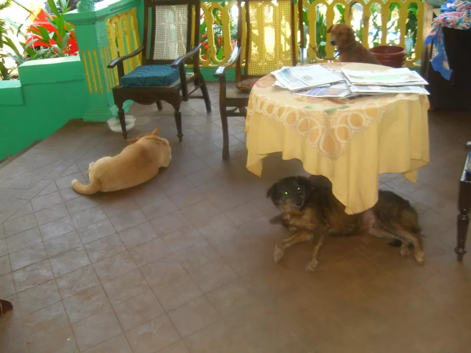 Photo of Crazy friends and the modest Goa by Gayatri S
