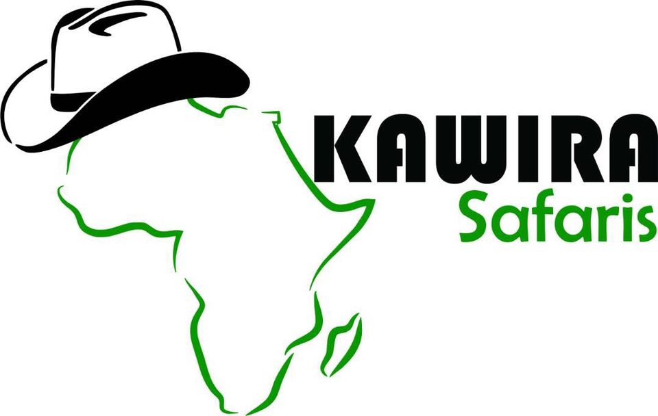 Photo of Your link to African safari by Kawira Safaris Ltd