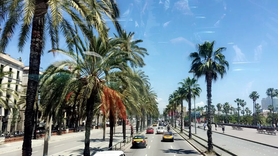 Photo of Plaça de Catalunya, Barcelona, Spain by Payal Shah