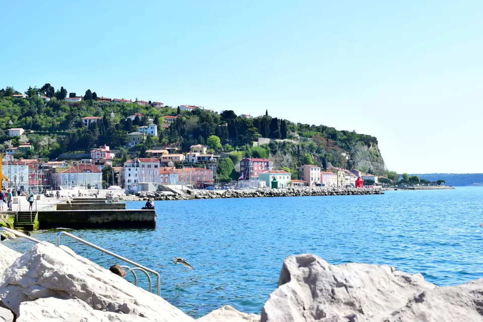 Photo of Why This Town Is The Best Alternative To Venice by Pallavi Das
