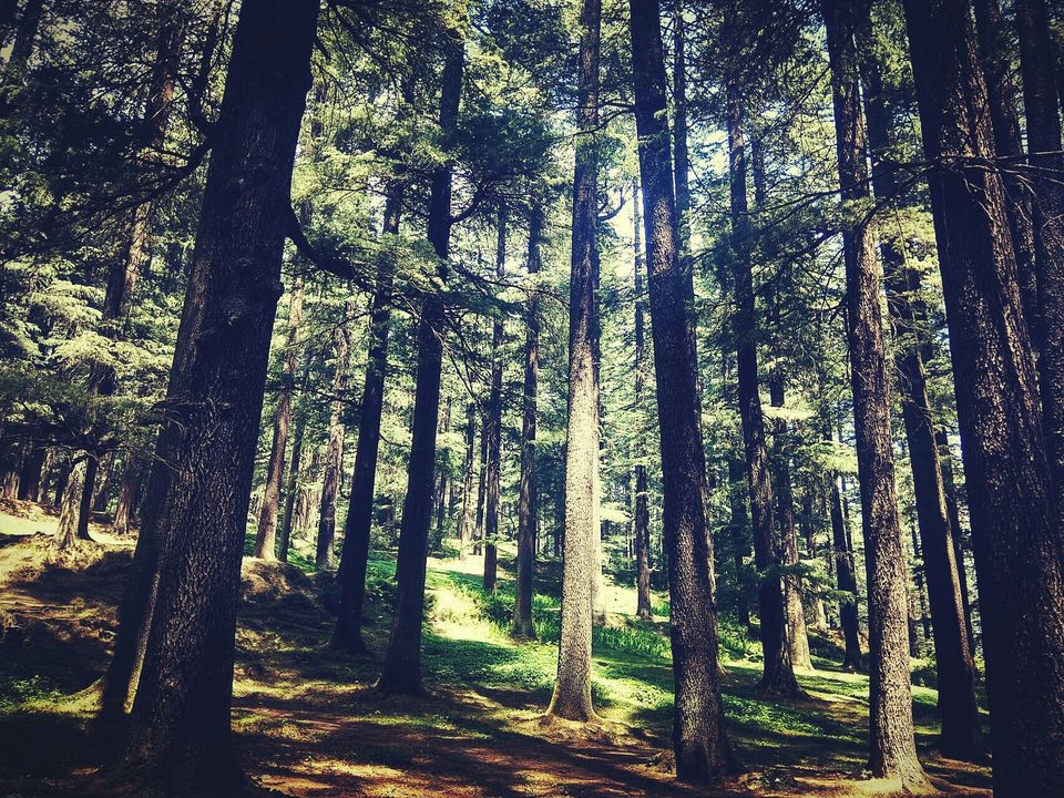 Photo of Manali, Himachal Pradesh, India by Kunwar Vishal Singh