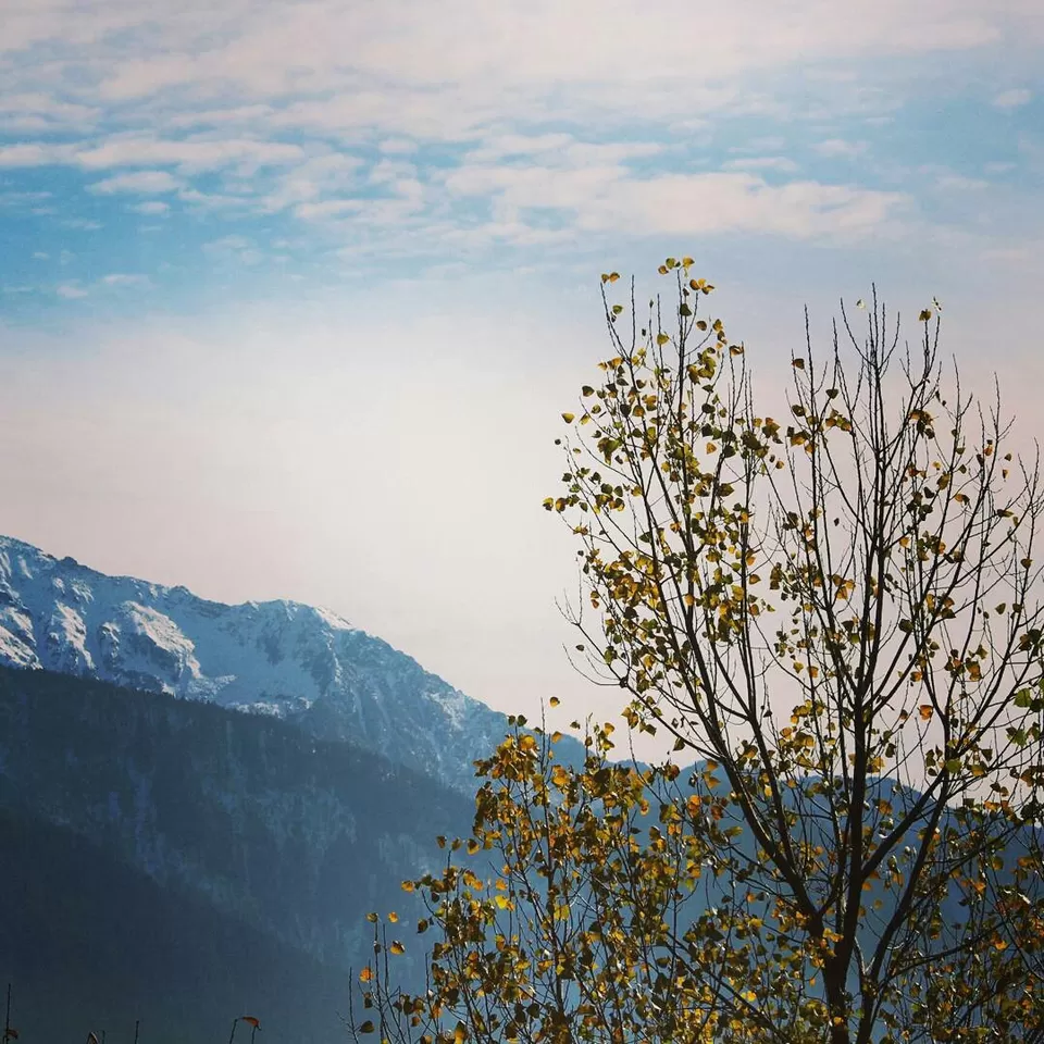 Photo of Himanchal Pradesh.. Queen of hills... by Kunwar Vishal Singh