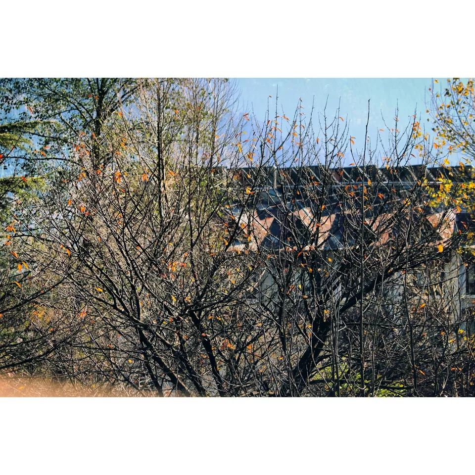 Photo of Himanchal Pradesh.. Queen of hills... by Kunwar Vishal Singh