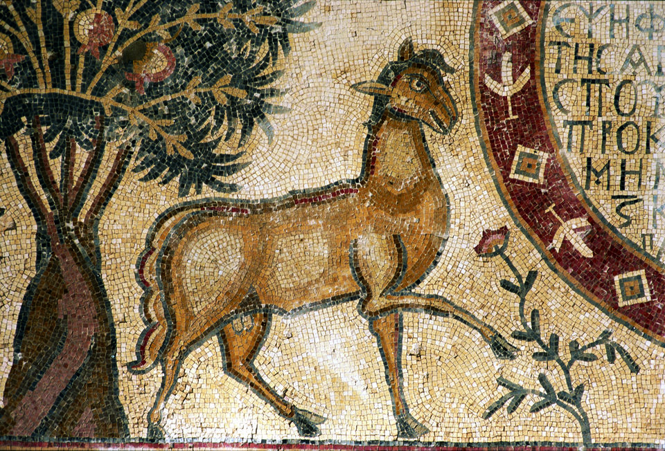 Photo of Explore Madaba Art- Mosaic 4/4 by Yogeeta Sharma