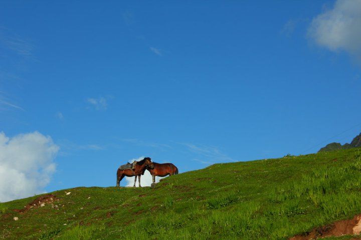 Photo of by Aarohi Sharma