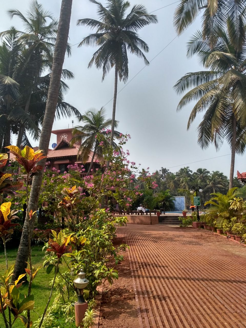Photo of Rendezvous by the backwater and sea at Malpe..... by tanwistha gope