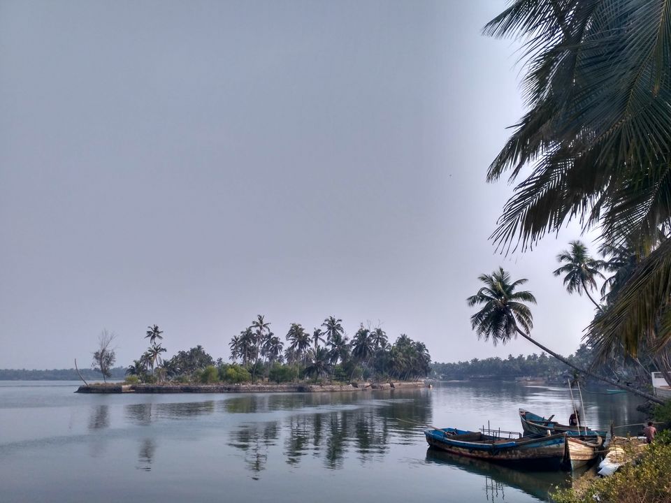 Photo of Rendezvous by the backwater and sea at Malpe..... by tanwistha gope