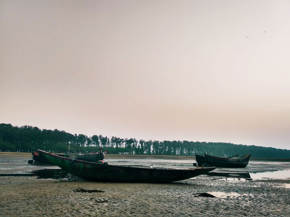 Photo of Talsari Beach, Barbaria, Odisha, India by tanwistha gope
