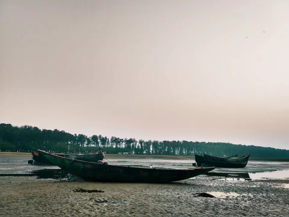 Photo of Talsari Beach, Barbaria, Odisha, India by tanwistha gope