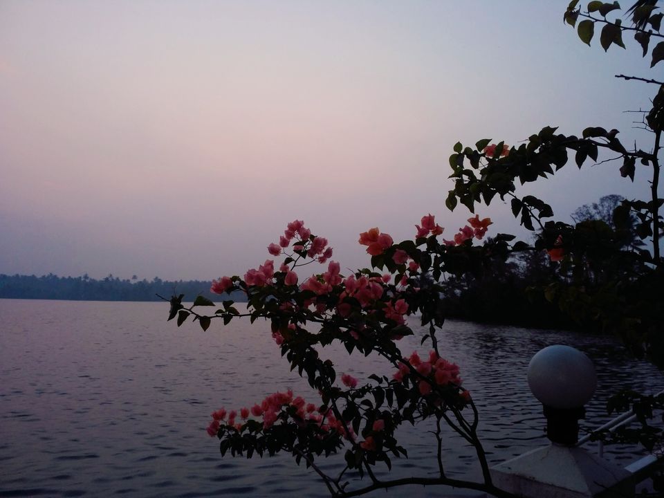 Photo of Blue Waters, Beach Road, Cherai, Kochi, Kerala, India by tanwistha gope