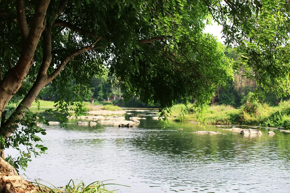 Photo of Mayura River View, Srirangapatna, SH17, Srirangapatna, Karnataka, India by tanwistha gope