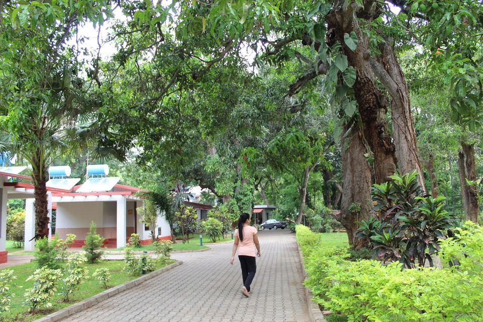 Photo of Mayura River View, Srirangapatna, SH17, Srirangapatna, Karnataka, India by tanwistha gope
