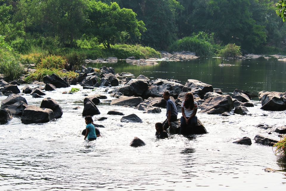 Photo of Mayura River View, Srirangapatna, SH17, Srirangapatna, Karnataka, India by tanwistha gope