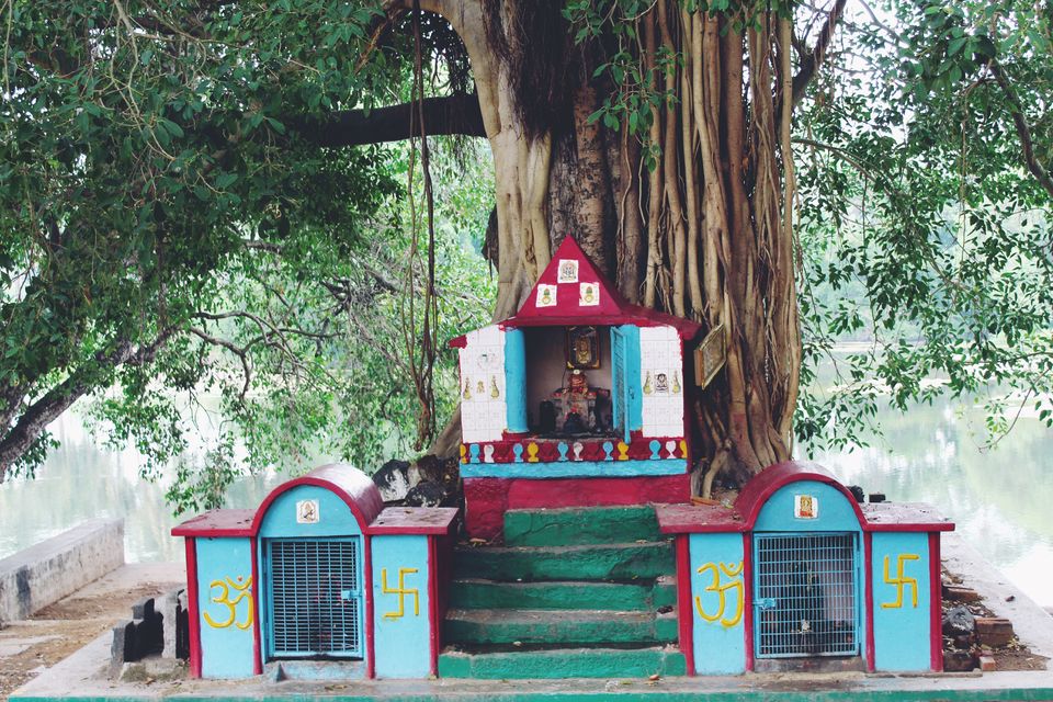 Photo of Perfect escape from the Bangalore crowd by tanwistha gope